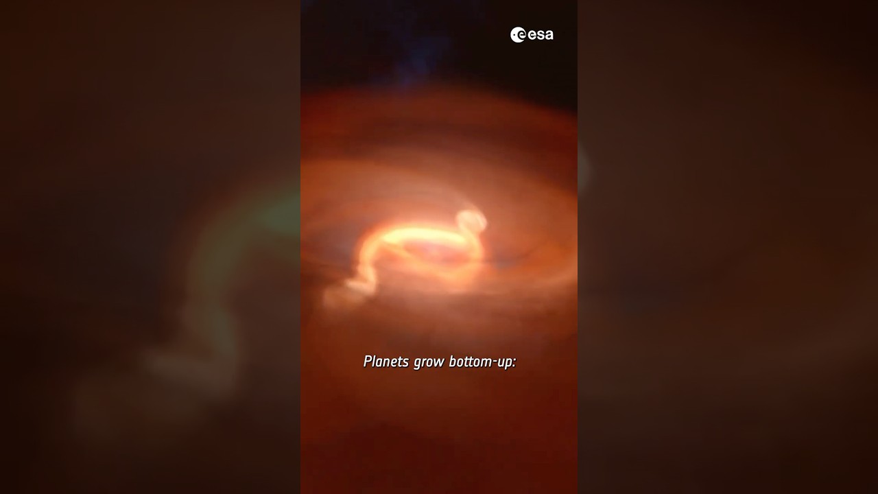 Planet or failed star? Webb found the answer 🪐⭐