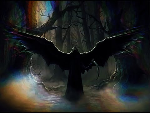 Those Who Drink Your Light