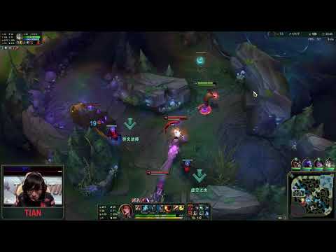 LOL S9 Final FPX VS G2 Game 2 Tian Lee Sin Insec
