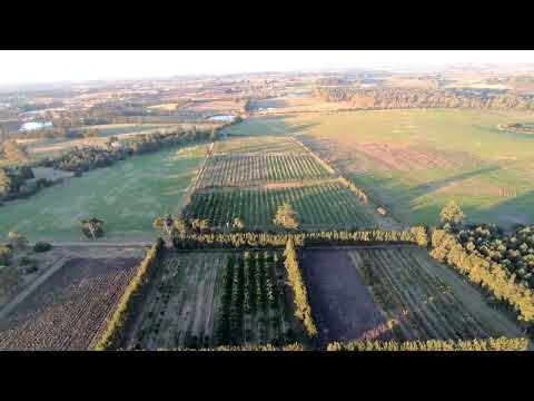 Uruguay, Rincón del Colorado.Sobrevolando la pradera