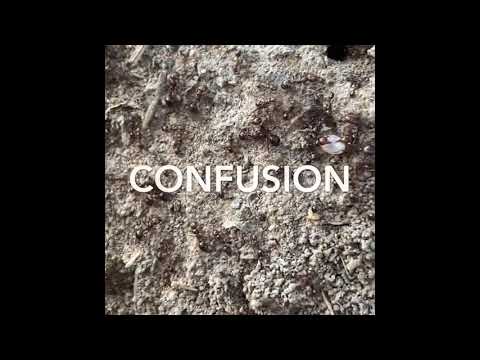 When aliens observe human behavior