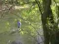 fishing with my dog leo kottke