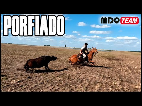 WHAT A HANDY AND COUNTRY ANIMAL WE GOT #countrylife