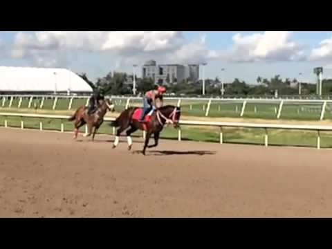 Gulfstream Park Workouts