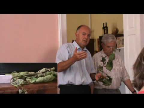 download lagu mp3 mp4 Vin Az, download lagu Vin Az gratis, unduh video klip Vin Az