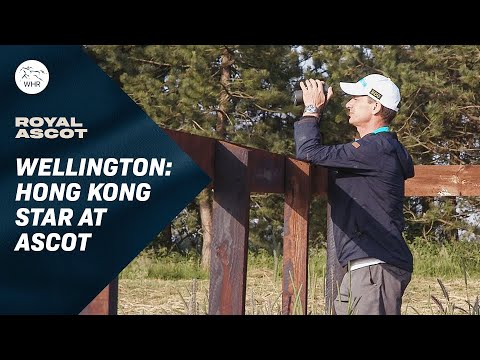 Wellington Takes On Ascot!