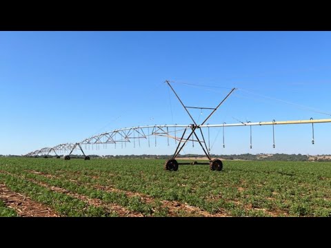 crea-go-realiza-fiscalizacao-em-areas-irrigadas-em-goias