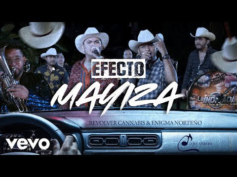 Revolver Cannabis, Enigma Norteño - Efecto Mayiza