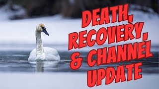 Dying, Recovery, and the Channels in 2024.