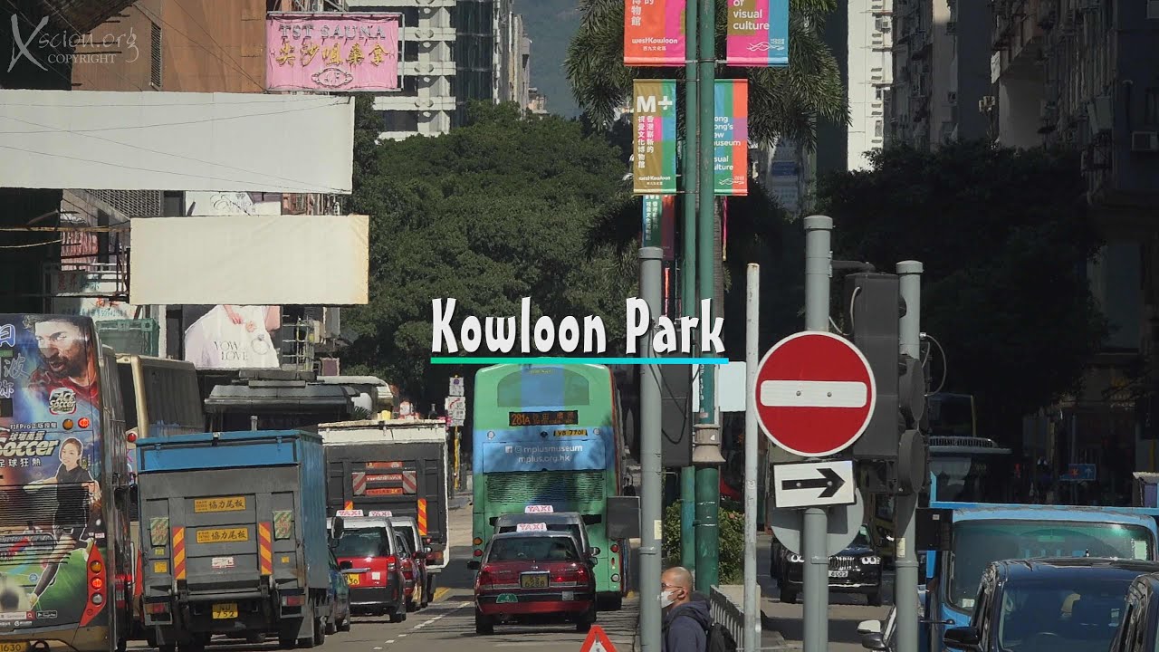 See flamingos, birds, and turtles inside the park’s ponds.