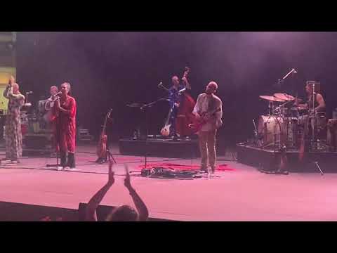 VENERUS - IoxTe | Auditorium Parco Della Musica "Ennio Morricone" - Roma