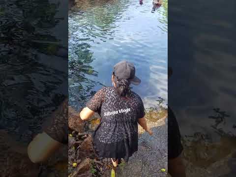 🏊‍♀️ llegando al pescadito de oro en nahulingo #sonsonate #elsalvador