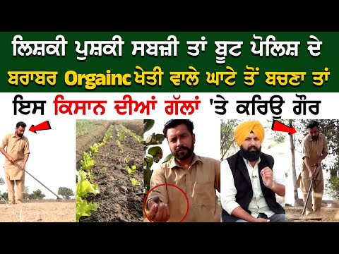 ਲਿਸ਼ਕੀ ਪੁਸ਼ਕੀ ਸਬਜ਼ੀ ਤਾਂ ਬੂਟ ਪੋਲਿਸ਼ ਦੇ ਬਰਾਬਰ Organic ਖੇਤੀ ਵਾਲੇ ਘਾਟੇ ਤੋਂ ਬਚਣਾ ਤਾਂ ਇਸ ਕਿਸਾਨ ਦੀਆਂ ਗੱਲਾਂ 'ਤੇ