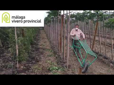 Vivero Provincial. Recorrido por sus instalaciones. Cuarta parte. 2020