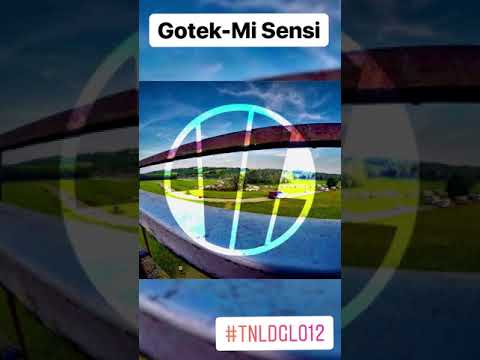 TNLDGL012 - Gotek  "Mi Sensi”