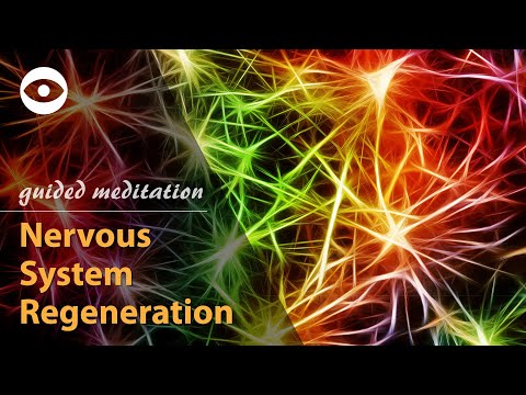 Guided Meditation Physical Healing (Nervous System Regeneration) - NEW VERSION
