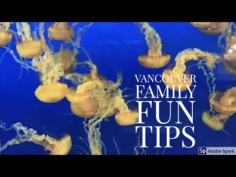 Best Things to do in Vancouver on a Rainy Day