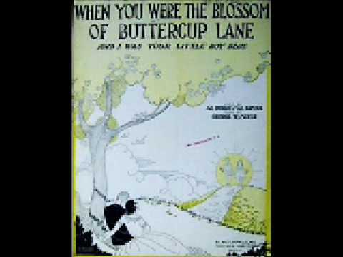 "When You Were The Blossom" (1931) Nick Lucas
