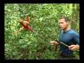 Jeff Corwin Snake Tacular