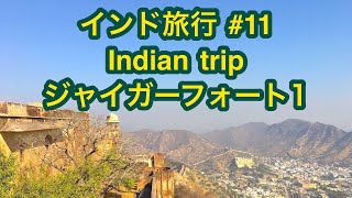 preview picture of video 'インド旅行 #11 Indian trip ジャイガーフォート1'