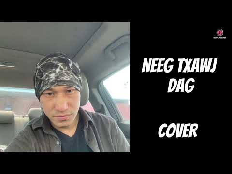 Neeg txawj dag - cover
