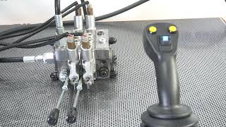 Scanreco JP Joystick with Walvoil DPX100 2 Sections control unit for construction equipment | Image 4 - Machineryline