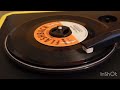 The Monkees I M A Believer