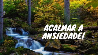 Sons Relaxantes. Momento Zen. (Relax With Me)