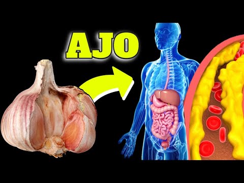 , title : '¡REVELADO!: ASÍ ACTIVAS al AJO CRUDO| INCREÍBLES BENEFICIOS de COMER AJO'