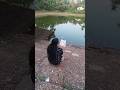 Karnan Lost Brother Kerala Trendingshorts Love Novel Malayalam Feelings Family Happy Heartbroken