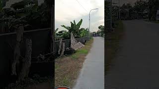 Download lagu pagi hari disamping sungai Bengawan solo mp3 Download lagu pagi hari disamping sungai Bengawan solo mp3