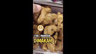 Download lagu MAKANAN VIRAL UNIK BENTUKNYA MENYERUPAI KOTORAN MANUSIA. mp3 Download lagu MAKANAN VIRAL UNIK BENTUKNYA MENYERUPAI KOTORAN MANUSIA. mp3