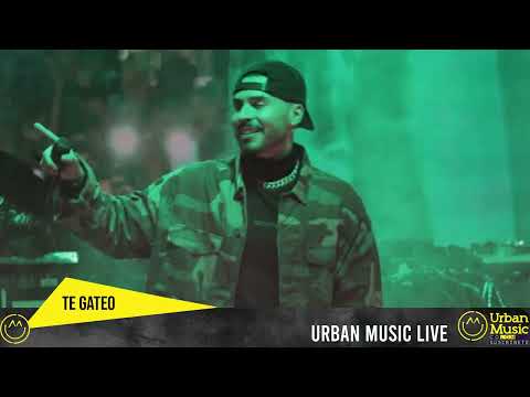 TE GATEO | REYKON EN VIVO DESDE BOGOTÁ