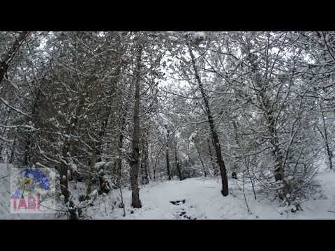 1 HOURS of Relaxing Snowfall: Beautiful Falling Heavy Snow - The Best Relax Music FULLHD