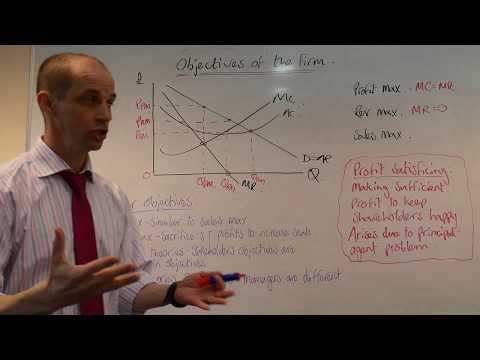 Aims & Objectives of Firms. A*/D1 Analysis.