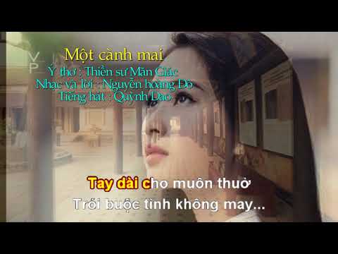 Một cành mai Sheet - Quỳnh Dao