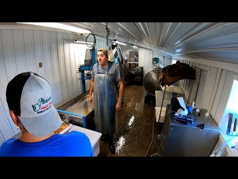 download lagu mp3 mp4 How To Pasteurize Apple Cider, download lagu How To Pasteurize Apple Cider gratis, unduh video klip How To Pasteurize Apple Cider