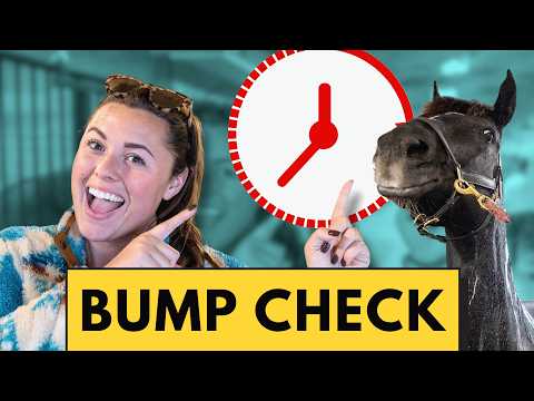 Due Date Soon! Let's Check The Mares!