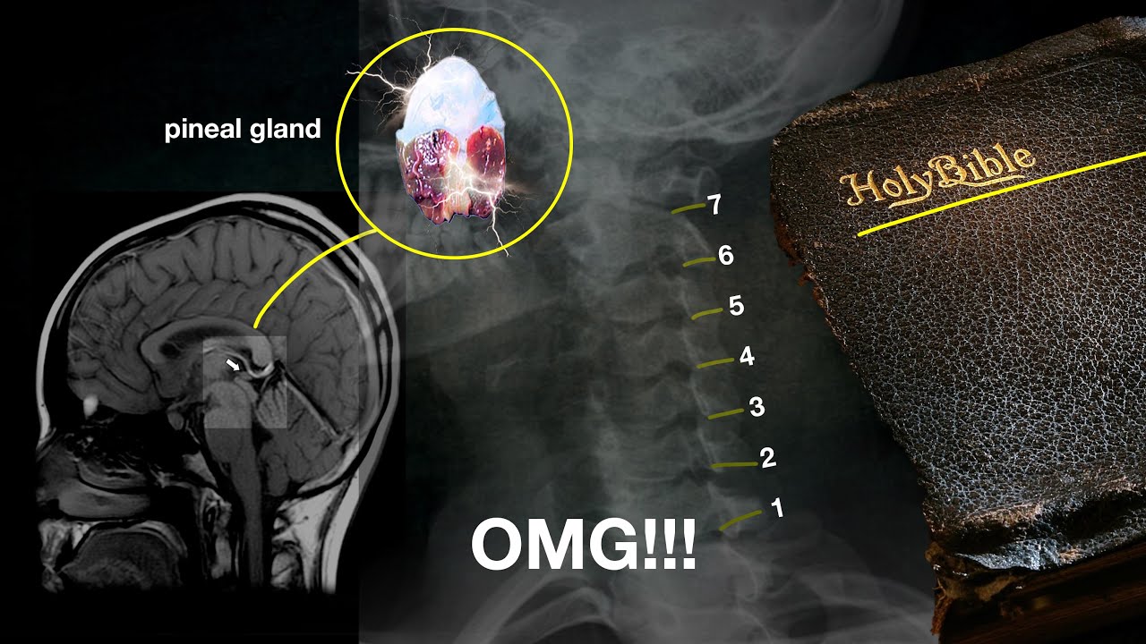 OMG! Why is nobody talking about this???  (Hidden Messages in the Bible)