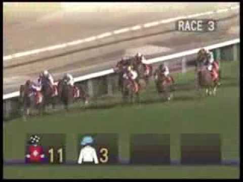 澳門娛樂設備廠商會盃(三級賽)--「幸運威龍」首贏草地 (15/11/2013)