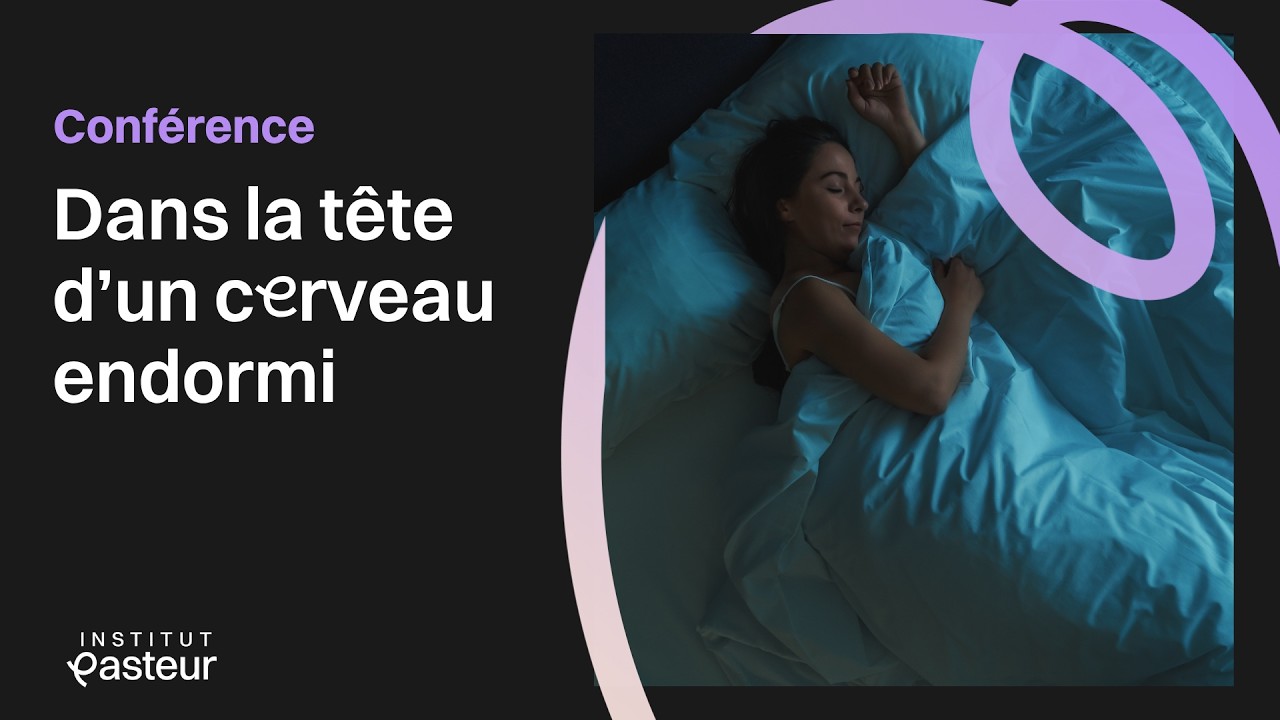 🧠 Dormir, rêver, être anesthésié… que fait vraiment notre cerveau ? | Conférence neurosciences