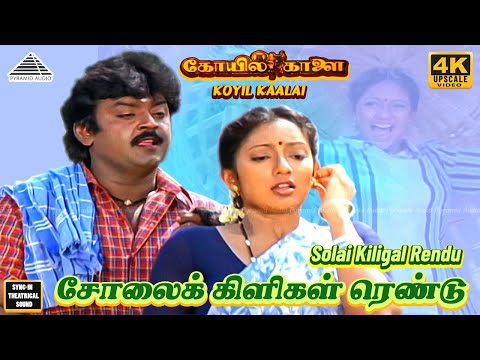 Sola Kiligal Rendu 4K Video Song | Koyil Kaalai Tamil Movie Songs| Vijayakanth | Kanaka