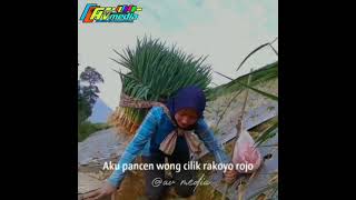 Download lagu aku pancen wong cilik ra koyo rojo mp3 Download lagu aku pancen wong cilik ra koyo rojo mp3
