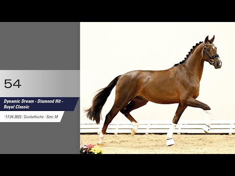 54 Hengst v Dynamic Dream - Diamond Hit