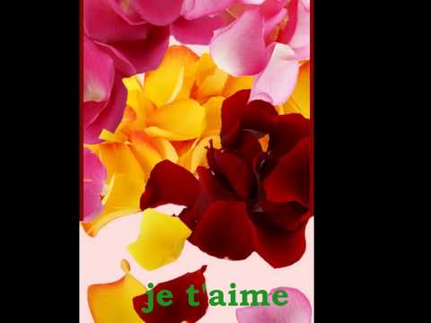 Pétales Rose de Vishnou Carombayenin