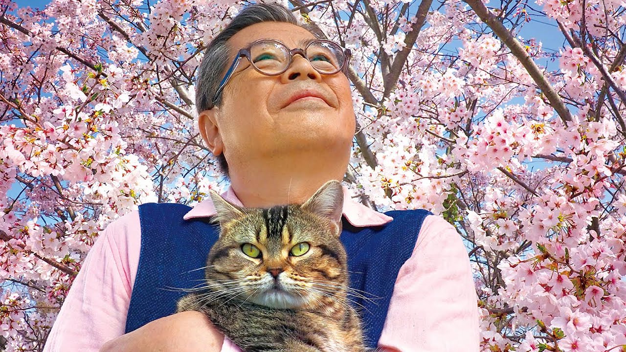 Island of Cats - Official Trailer