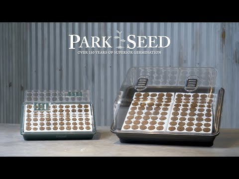 Flower Seeds & Plants