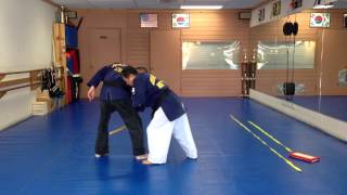 Hapkido Knife Defense 40