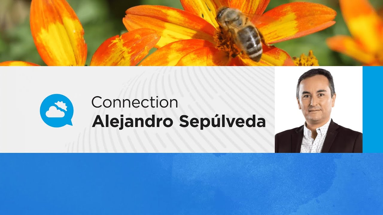 youtube video id=QF5LidGyOfI