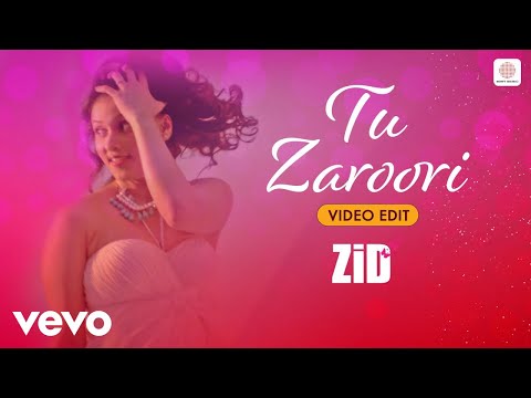 Sharib Toshi, Sunidhi Chauhan, Sharib Sabri - Tu Zaroori (Video Edit)